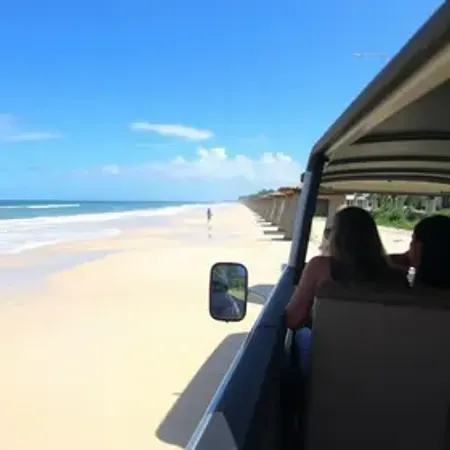 Transfer compartilhado para Jericoacoara: guia para reservar sem perrengues