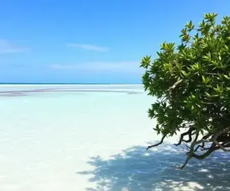 Lagoas de Jericoacoara: guia prático com dicas essenciais