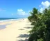 Distância de Teresina a Jericoacoara: como chegar e o que saber antes de ir