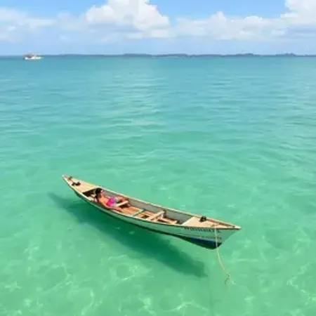 Melhor horário para visitar o Mangue Seco: guia prático com dicas essenciais