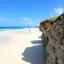 Jericoacoara em fevereiro: o que saber para planejar melhor
