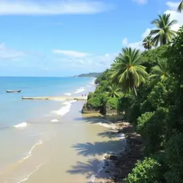 Guia completo do Mangue Seco: como visitar, custos e dicas práticas