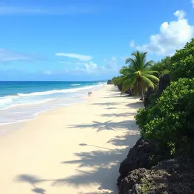 Como chegar em Jericoacoara saindo de Jijoca de Jericoacoara: passo a passo atualizado para turistas