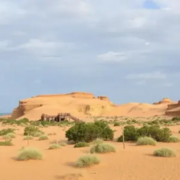 Passeio para Tatajuba em Jericoacoara vale a pena: veja se combina com o seu roteiro