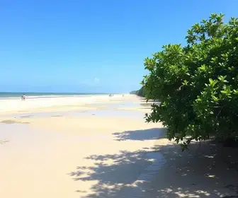 Como chegar em Delta do Parnaíba saindo de Jericoacoara: rota, custos e dicas para evitar perrengues