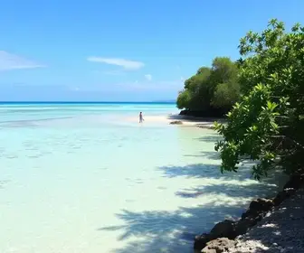 Melhor horário para passeio para Lagoa do Paraíso em Jericoacoara: guia prático com dicas essenciais