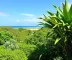 Melhor horário para passeio de jardineira em Jericoacoara: guia prático com dicas essenciais