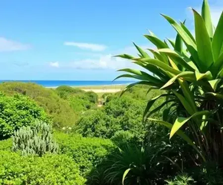 Melhor horário para passeio de jardineira em Jericoacoara: guia prático com dicas essenciais