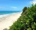 Flora de Jericoacoara vale a pena: análise realista para decidir melhor