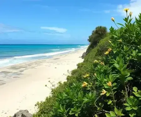 Flora de Jericoacoara vale a pena: análise realista para decidir melhor