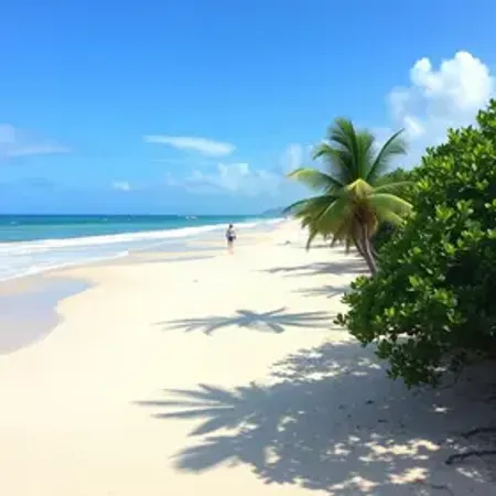 Jericoacoara no Réveillon: informações úteis para sua viagem
