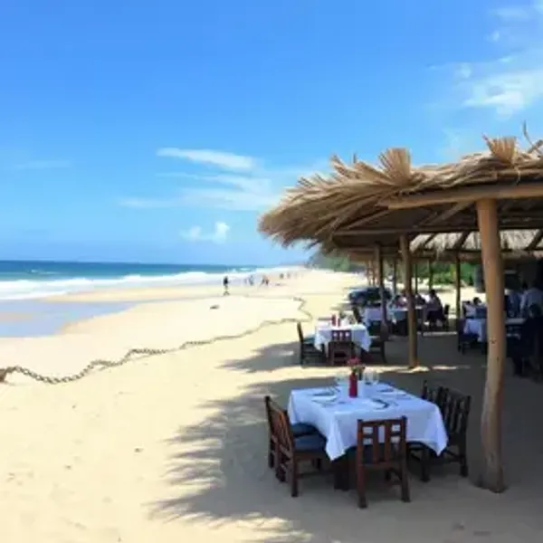 Melhores restaurantes em Jericoacoara: lista prática para escolher melhor
