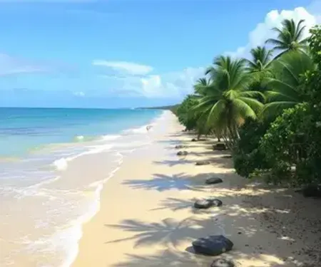 Como chegar em Mangue Seco: rota, custos e dicas para evitar perrengues