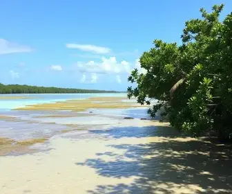 Onde fica a Lagoas Interdunares: como chegar e o que saber antes de ir