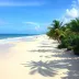 Jericoacoara ou Porto de Galinhas: compare antes de decidir o roteiro