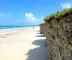 Roteiro do passeio Lado Leste em Jericoacoara: informações úteis para sua viagem