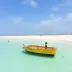 Jericoacoara sem carro: guia prático com dicas essenciais