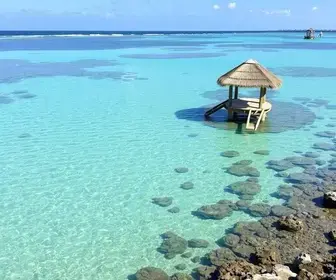 Regras para visitar a Lagoas temporárias: guia prático com dicas essenciais