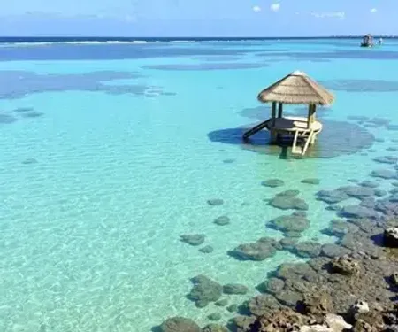Regras para visitar a Lagoas temporárias: guia prático com dicas essenciais