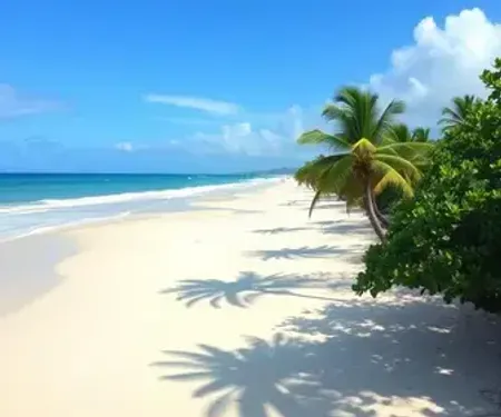 Como ir de Jericoacoara para Preá: como se organizar antes da viagem