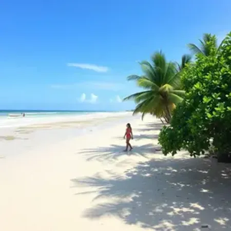 Melhor horário para passeio para Mangue Seco em Jericoacoara: guia prático com dicas essenciais